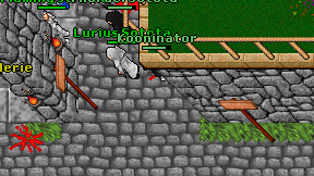 Kooninator on screen
