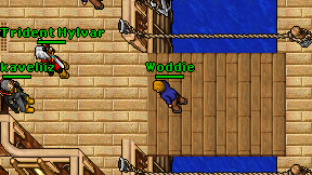 Woddie on screen