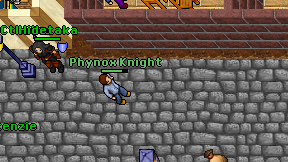 Phynox Knight on screen