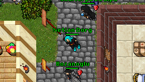 Netian Dorg on screen