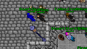 Darijen on screen