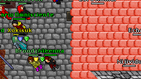 Echany on screen