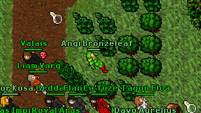 Angi Bronzeleaf on screen