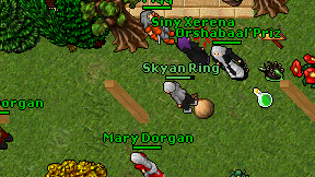 Skyan Ring on screen