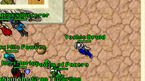 Yoshio Druid on screen