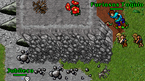 Furiosos Toquio on screen