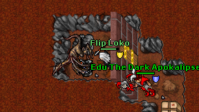 Flip Loko on screen