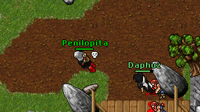 Penilopita on screen