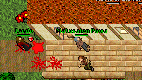 Matusalen Powa on screen