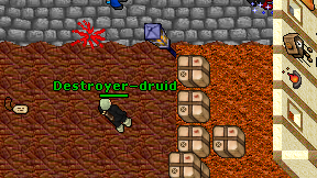 Destroyer-druid on screen