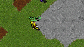 Skjald on screen