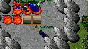 Broskow on screen