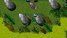 Elfo of Magic on screen
