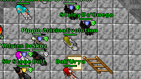 Marina Evolution on screen
