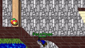 Foca Mage on screen