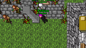 Vebox on screen