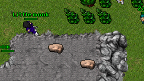 Qoom on screen