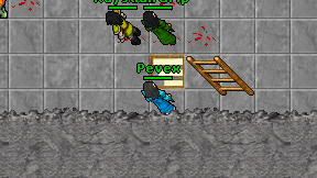 Pevex on screen