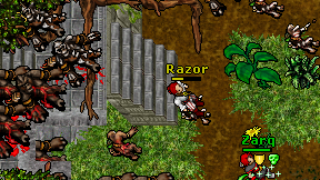 Razor on screen