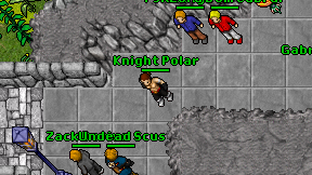 Knight Polar on screen