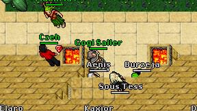 Gogi Saller on screen