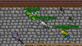 Feltro Gale on screen