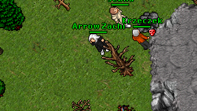 Arrow Zachi on screen