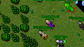 Dark Pati on screen