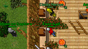 Exor Gali on screen