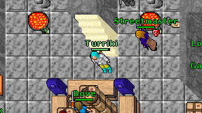 Turriki on screen