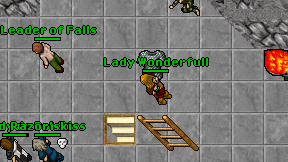 Lady Wonderfull on screen