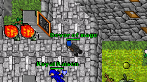 Devor of mage on screen