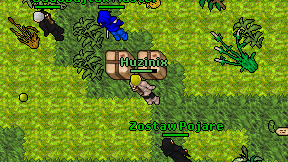 Huzinix on screen