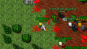 Rydder on screen