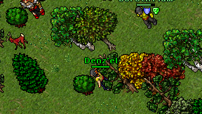 Denz'el on screen