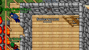 Swierszczu on screen