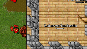 Calaryu Jesterin on screen
