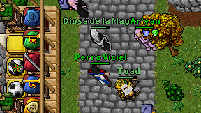 Perro Viciel on screen