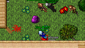 Jim Wolf on screen