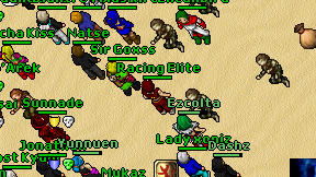 Racing Elite on screen