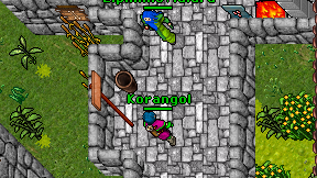 Korangol on screen