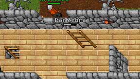 Pan Zebra on screen