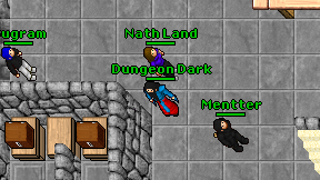 Dungeon Dark on screen