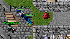 Bradok on screen