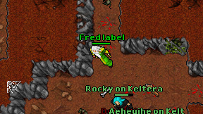 Fred label on screen