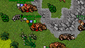Erbols on screen