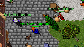 Feather'Supplier on screen
