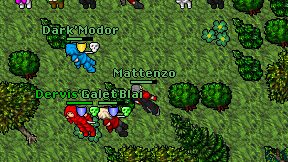 Mattenzo on screen