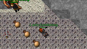 Lady Goldwing on screen