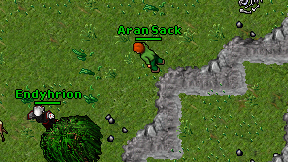 Aran Sack on screen